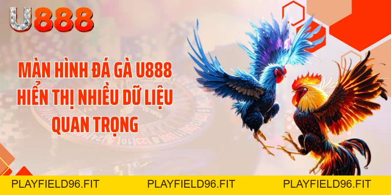 Đá Gà U888 - Xé Tan Màn Đêm Với Những Cú Đá Cực Gắt